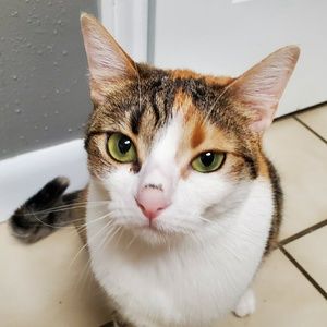 Meet your Posher, Jen